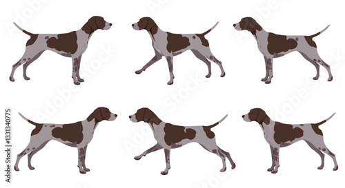 Dog walking animation sequence in flat design style vector illustration