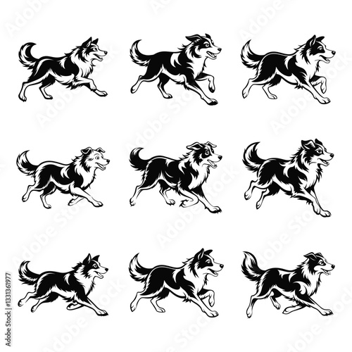 Australian Shepherd