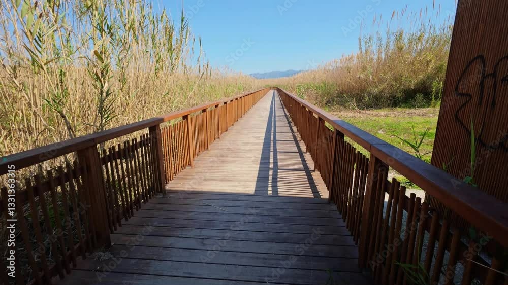 Scenic wooden bridge in wetland park for hikers and visitors Scenic wooden bridge in wetland park for hikers and visitors