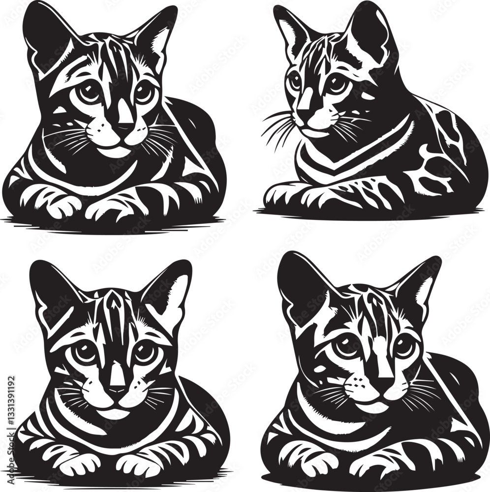 Obraz premium Bengal cat vector in black and white