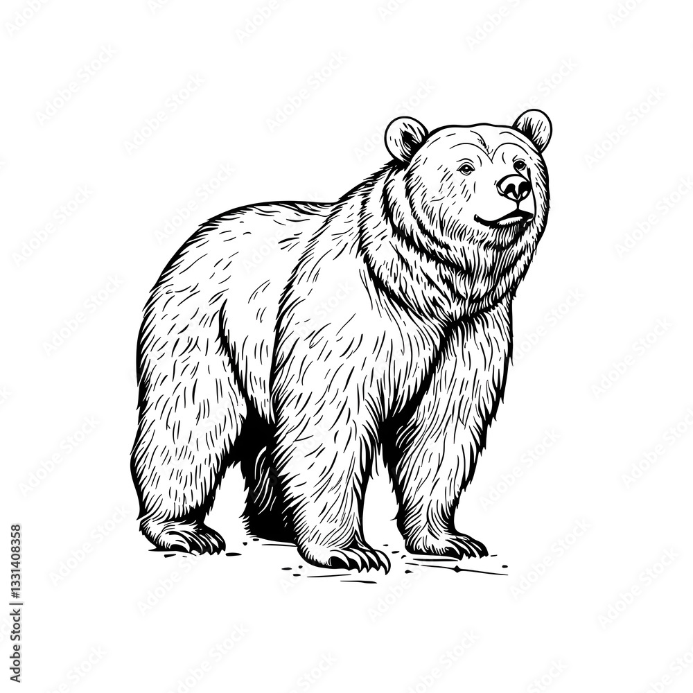 Obraz premium Ink Majestic Bear: A powerful grizzly bear illustration in a striking monochrome, exuding a sense of strength and wildness. The bear stands proud, its details captured with artistic precision.
