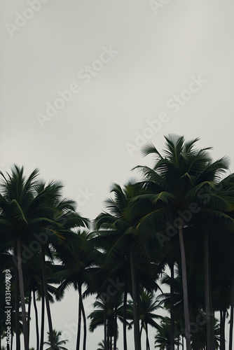 Tropical palm trees at different times of the day on a scenic beach