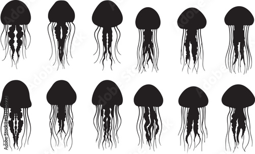 Box Jellyfish Silhouettes