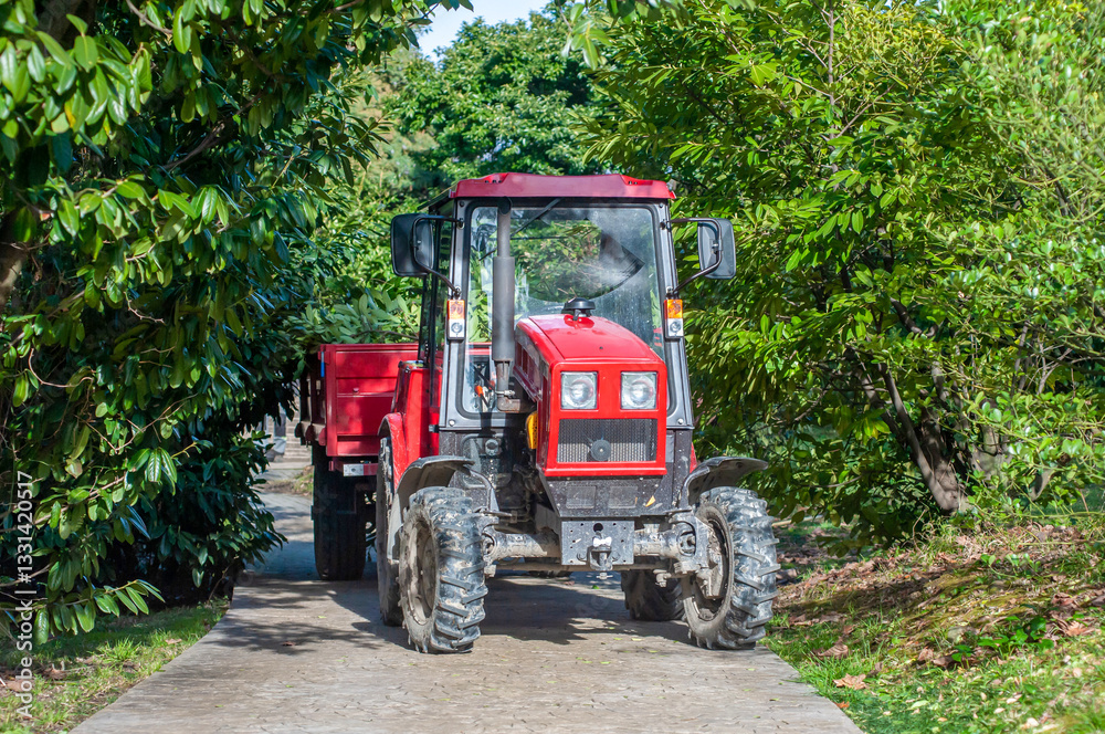 Tractor driving through a lush, green pathway in the countryside during a sunny day Tractor driving through a lush, green pathway in the countryside during a sunny day