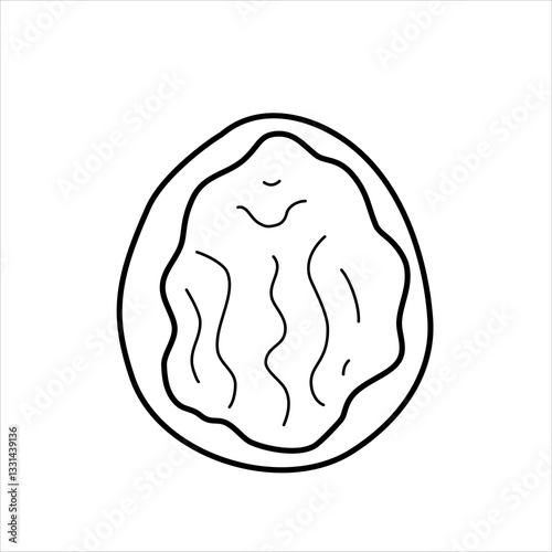 Vector line illustration of a half of a walnut in the shell.