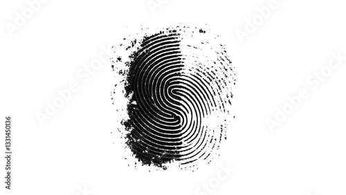 One black fingerprint isolated on white background. Silhouette of finger print white background. Fingerprint isolated on transparent or white background, 