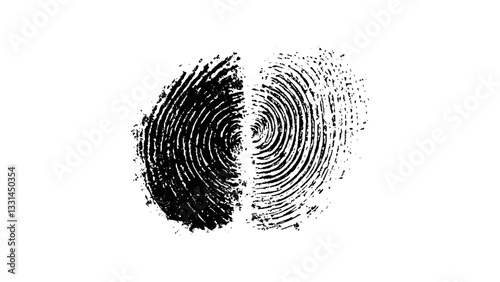 One black fingerprint isolated on white background. Silhouette of finger print white background. Fingerprint isolated on transparent or white background, 