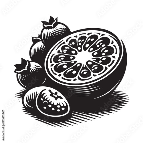 Artistic graphic engraving illustration of bilberry fruit, minimalist drawing