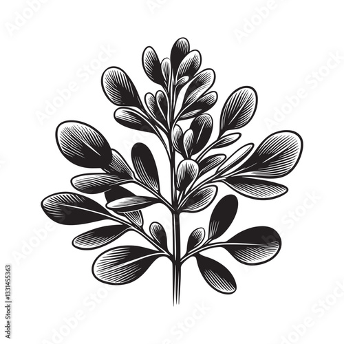 Elegant alfalfa plant artwork with minimalist lines and stylized leaf details