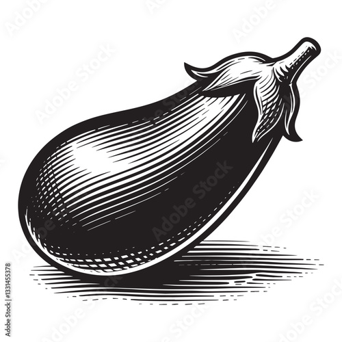 Eggplant vegetable in minimalist clean woodcut drawing, 1781