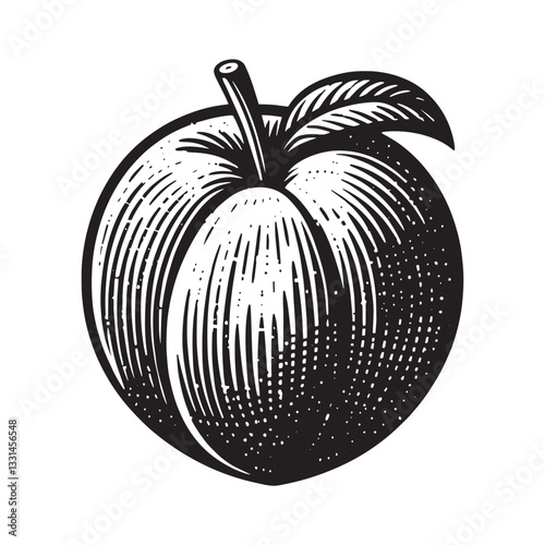 Elegant monochrome woodcut-style illustration of a ripe peach with leaf