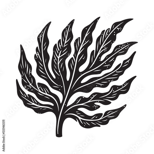Stylized monochrome seaweed illustration with a clean woodcut aesthetic