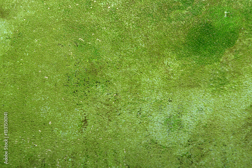 
art background with light texture in green color photo