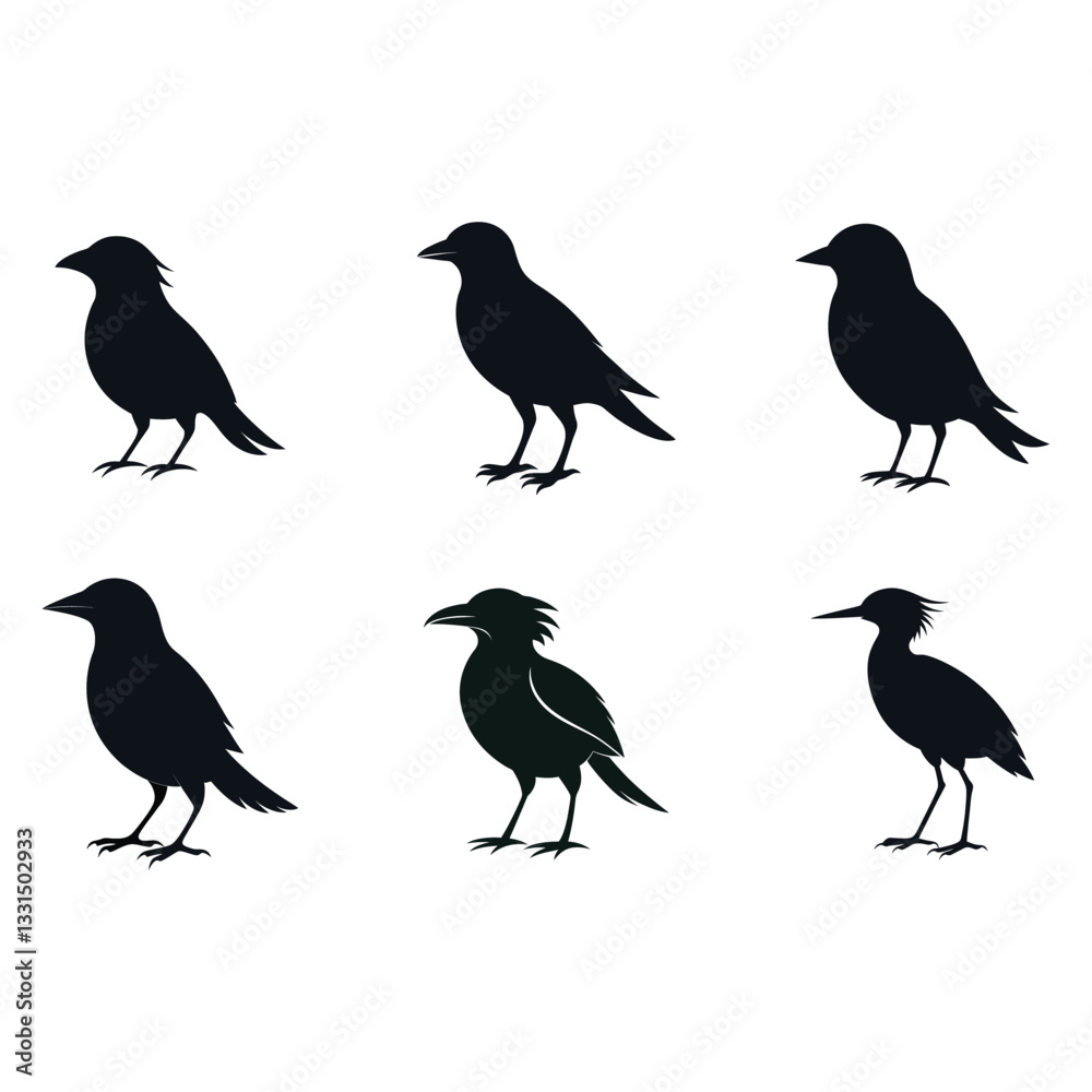 Silhouettes of different species of birds Silhouettes of different species of birds