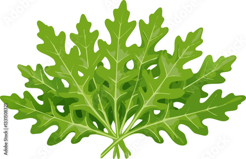 oak leaf isolated on white