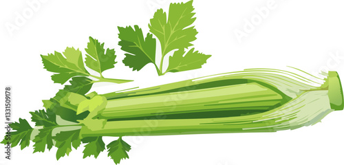 celery isolated on white background