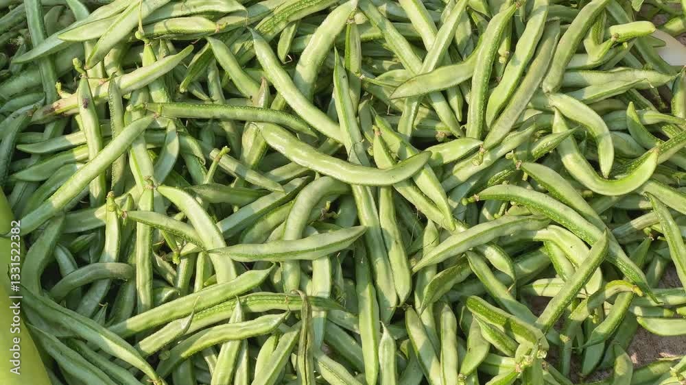 A pile of Lima Beans or fresh Sem Phali