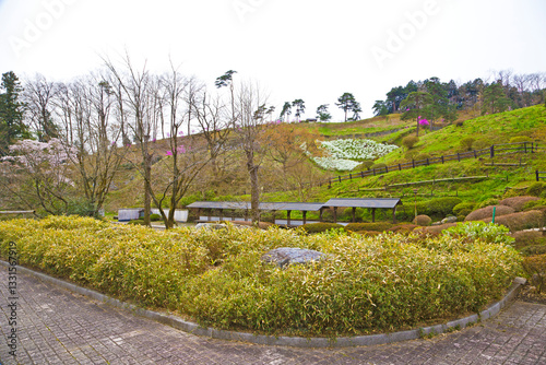 Ome park in Ome town, Tokyo prefecture, Kanto, Japan.