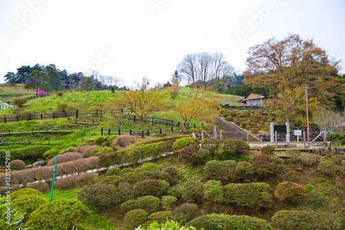 Ome park in Ome town, Tokyo prefecture, Kanto, Japan.