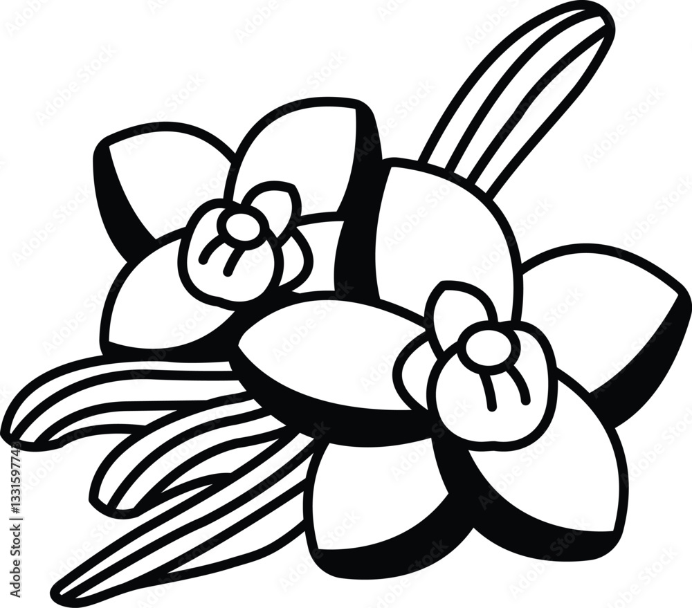 drawing of two white flowers with centers drawing of two white flowers with centers
