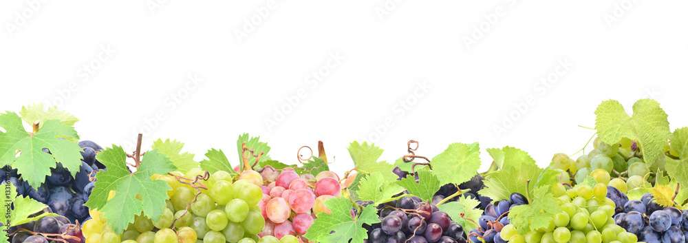 Grape fruit isolated