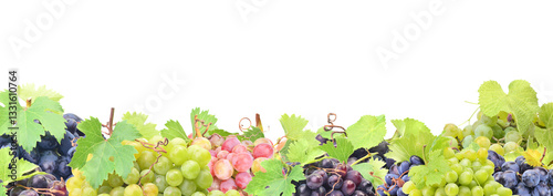 Obraz na płótnie Grape fruit isolated w salonie