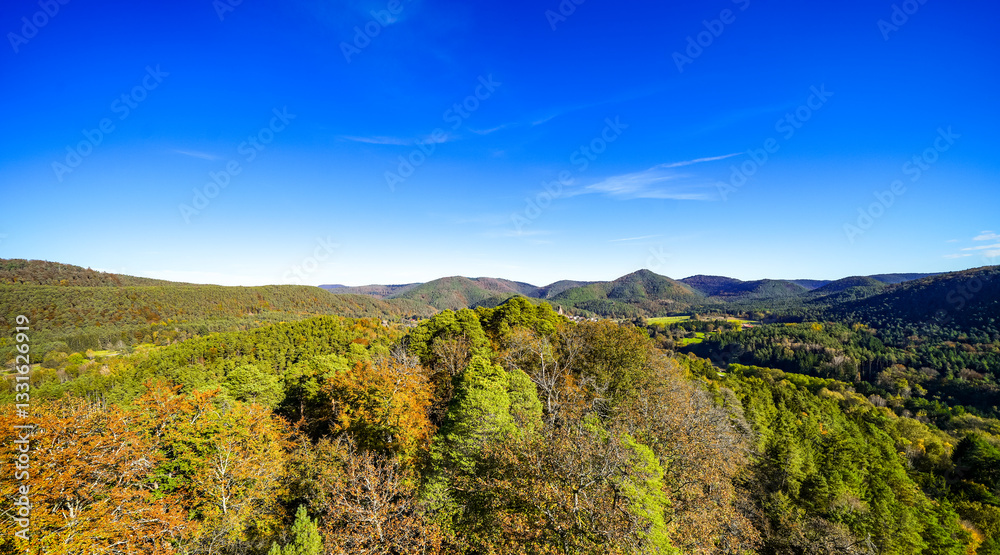Fototapeta premium View from the Altdahn castle massif of the surrounding landscape with green forests. Nature at the medieval rock castle in the Palatinate region. 