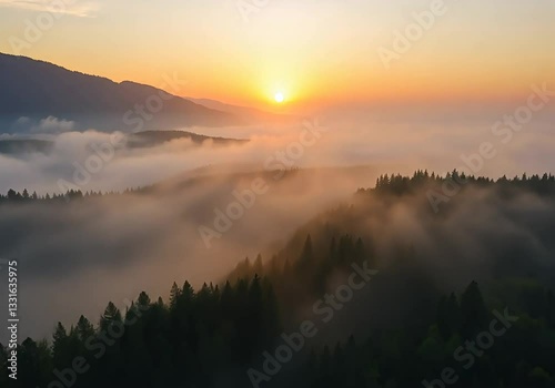 Aerial panorama of a misty forest at sunrise. Golden fog over mountain valleys. Flying above lush green treetops. Morning haze, rural fields, sun peeking over the horizon. natural landscape, Video 4K