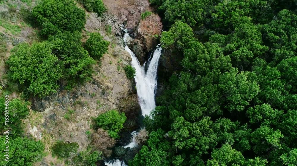 Twin streams of Salmon Creek Falls tumble down rugged cliffs into a lush valley Twin streams of Salmon Creek Falls tumble down rugged cliffs into a lush valley