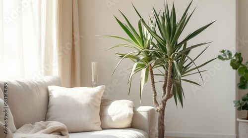 Modern living room with plant
