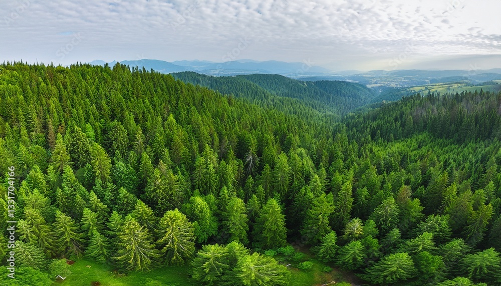 Fototapeta premium Generated image Aerial view of green forest of old spruce, fir and pine trees nature landscape