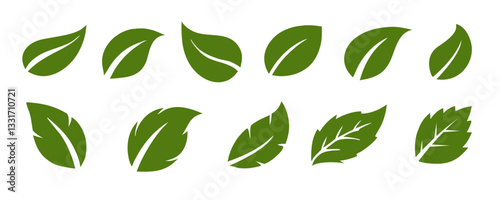 Set of green leaf icons. Green color. Leafs green color icon logo. Leaves on white background. Ecology. Vector eps