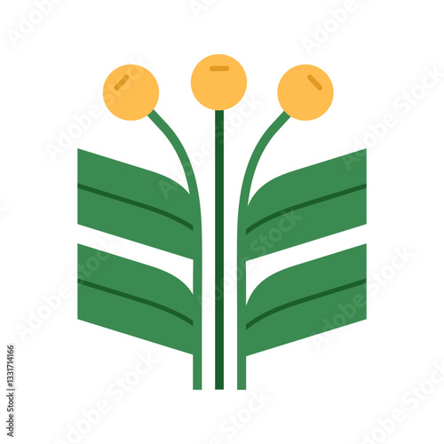 Flower plant. Floral branches, stems and leaves, stylized botanical design element. Golden billy buttons, summer blooms, spring blossoms. Flat vector illustration isolated on white background