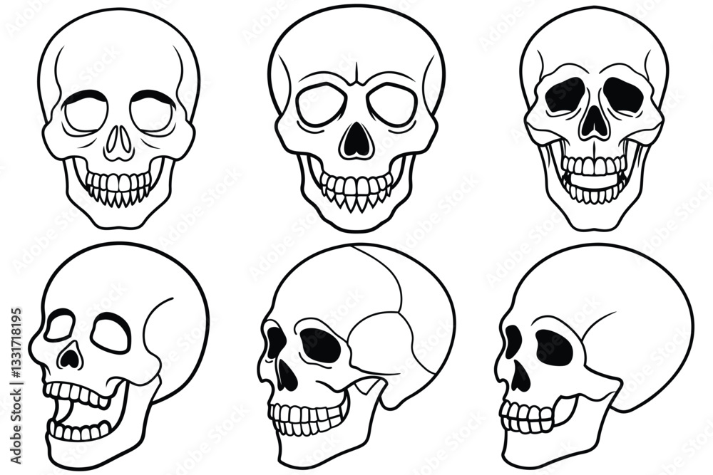 set of skulls, Skull Bundle set of skulls, Skull Bundle