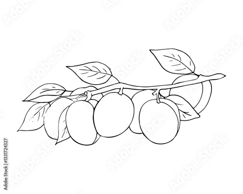 Apricots growing on tree branch. Hand-drawn fruits bunch with leaves. isolated illustration  on white background