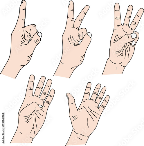 count on your fingers one to five