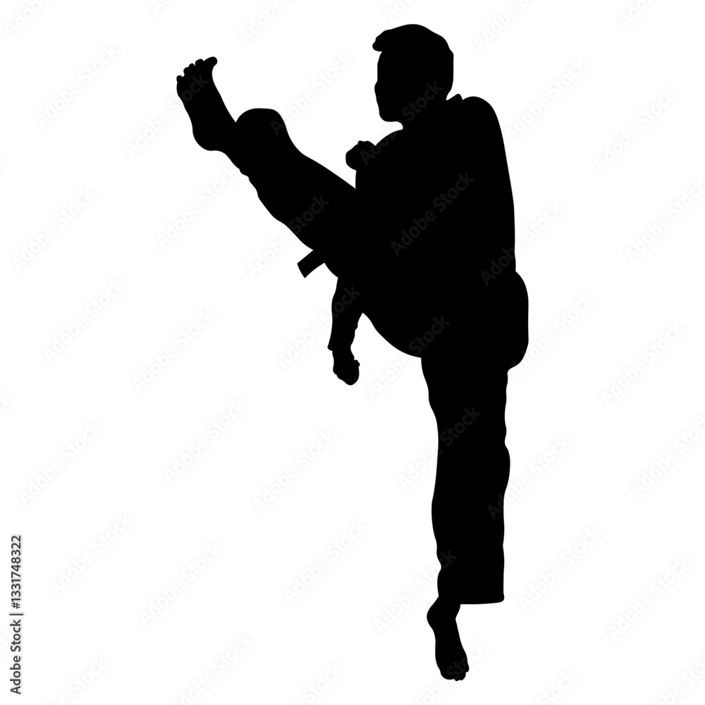Taekwondo Athlete Silhouette. Isolated on White Background. Taekwondo Athlete Silhouette. Isolated on White Background.