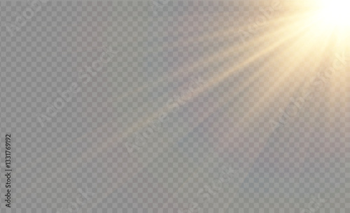 A radiant sunbeam streaming across a transparent background, creating soft rays of light. This uplifting image adds brightness and warmth, perfect for enhancing creative projects.
