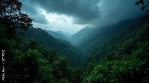 Dense humid equatorial forests under a stormy night sky, where towering trees cast deep shadows. The serene summer atmosphere is enriched by bioluminescent flora and misty air.
