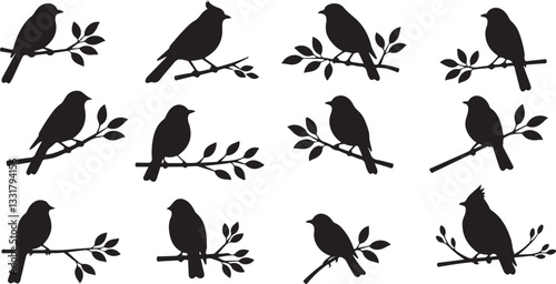 Set of a flock of flying different birds silhouettes Collection of different cartoon black birds on white background. Vector illustration.
