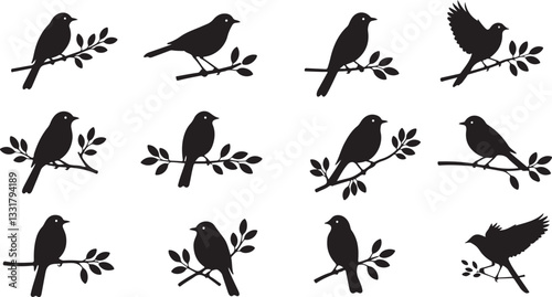 Set of a flock of flying different birds silhouettes Collection of different cartoon black birds on white background. Vector illustration.