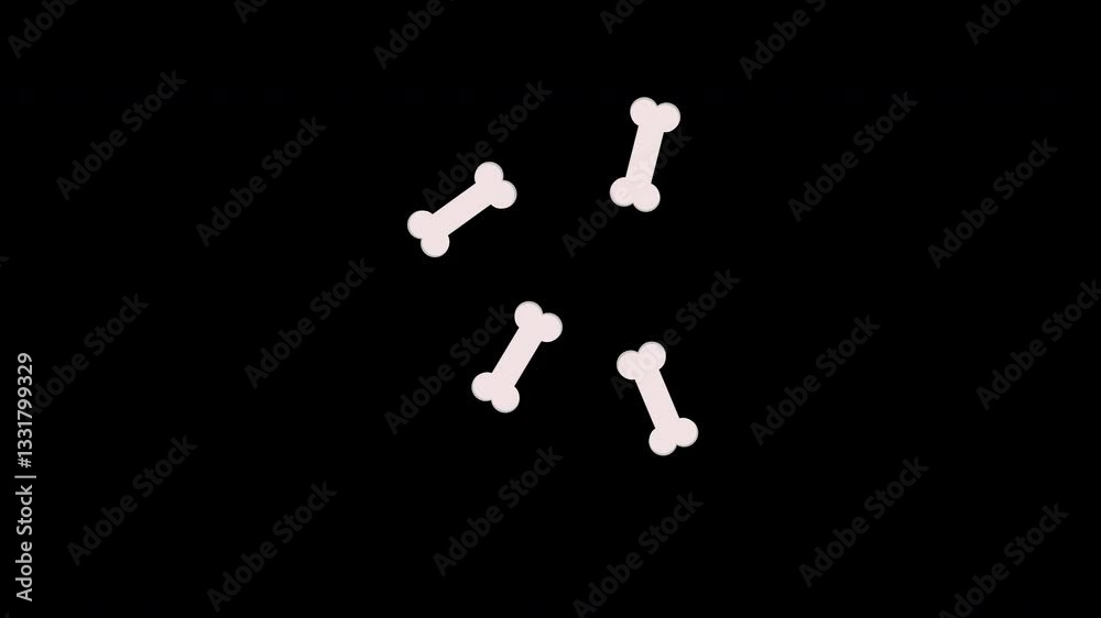 Loop animation video of a bone illustration concept with alpha channel Loop animation video of a bone illustration concept with alpha channel