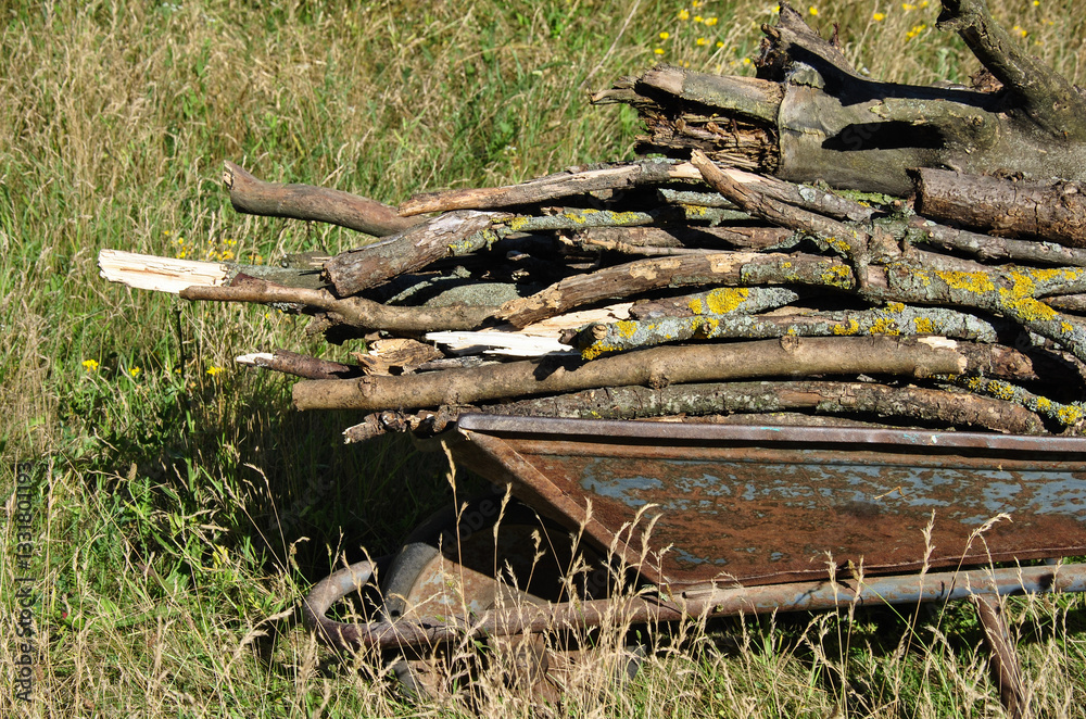 wheelbarrow with dry brushwood in green grass wheelbarrow with dry brushwood in green grass