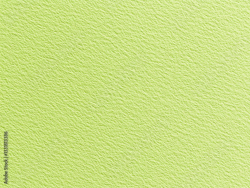 Close-up view of textured light green paper showcasing its unique surface pattern and color