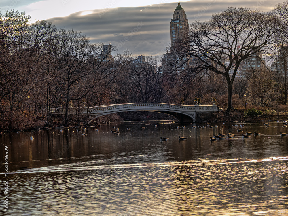 Bow bridge in winter on the lake