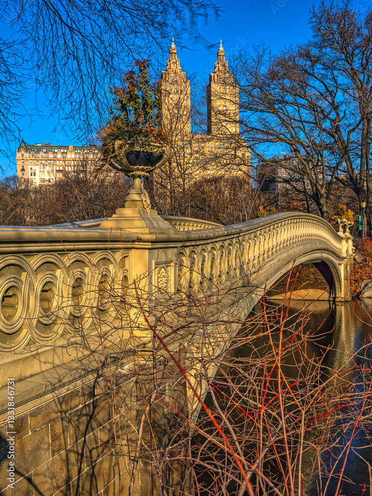 Bow bridge in winter, early morning