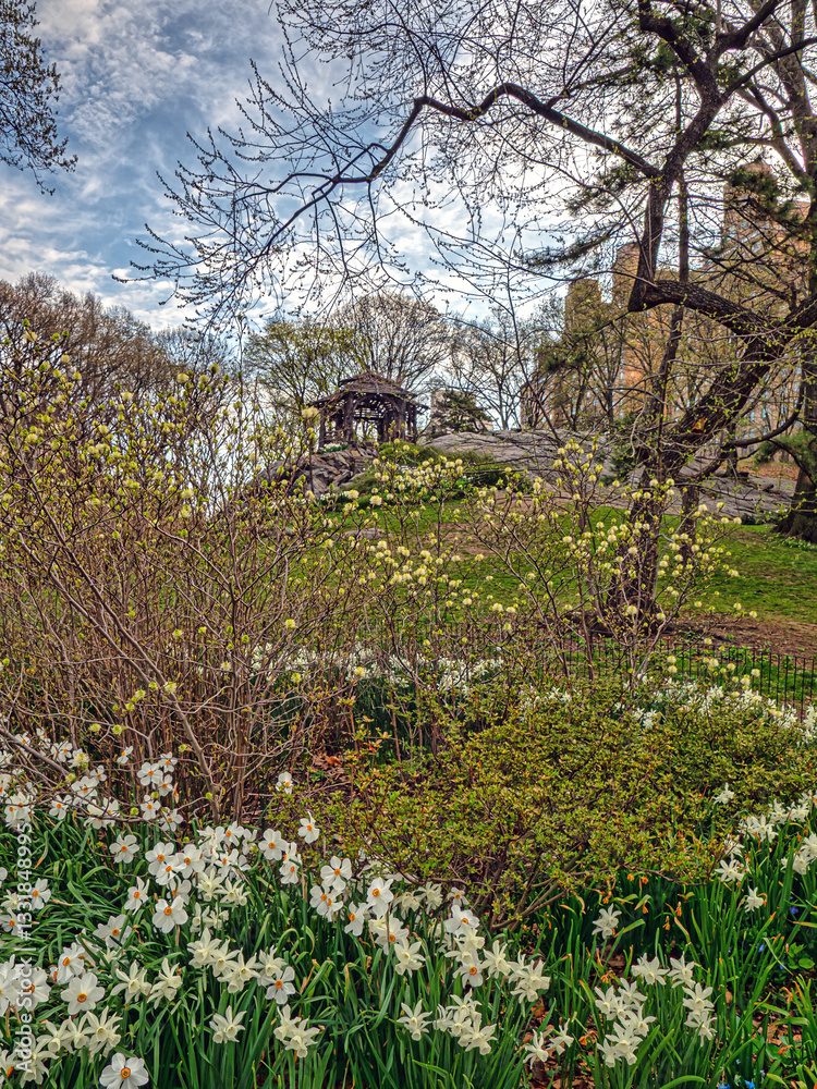 Central Park in spring with trees in bloom