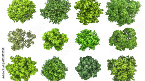 Obraz na płótnie Various types of green trees arranged in a grid showcasing different shapes and foliage textures w salonie