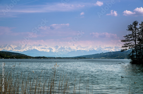 The Hallwilersee in Switzerland. Beautiful scene with sailing boats on the lake and the alps in the background.