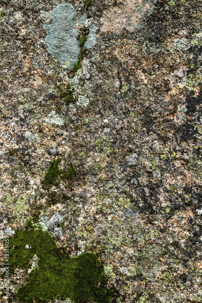 Granite rock stone texture with moss and lichen. Concept: Moss, granite, nature.